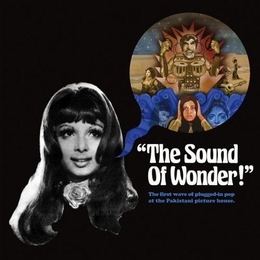 Image du média "THE SOUND OF WONDER"