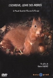 Image du média "L'ÉCUREUIL, GÉNIE DES ARBRES de Robert LUQUÈS"