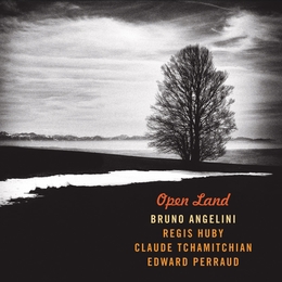 Image du média "OPEN LAND de Bruno ANGELINI"