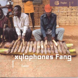 Image du média "GABON: XYLOPHONES FANG"