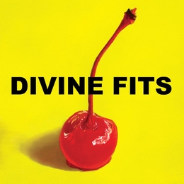 Image du média "A THING CALLED DIVINE FITS de DIVINE FITS"