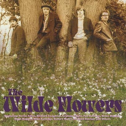 Couverture THE WILDE FLOWERS (EXPANDED) de THE WILDE FLOWERS