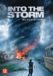 Image du média "INTO THE STORM de Steven QUALE"