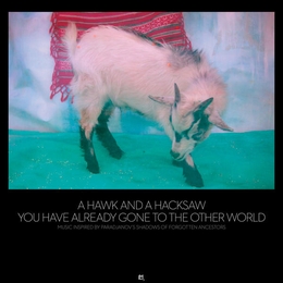 Image du média "YOU HAVE ALREADY GONE TO THE OTHER WORLD de A HAWK AND A HACKSAW"