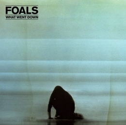 Image du média "WHAT WENT DOWN de FOALS"