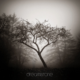 Image du média "DREAMSTONE de SORROW"