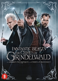 Image du média "LES ANIMAUX FANTASTIQUES : LES CRIMES DE GRINDELWALD de David YATES"