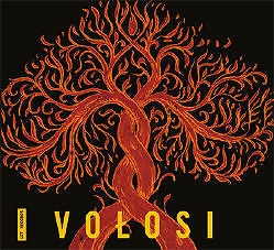 Image du média "VOLOSI de VOLOSI"