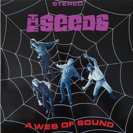 Image du média "A WEB OF SOUND (DELUXE EDITION) de THE SEEDS"