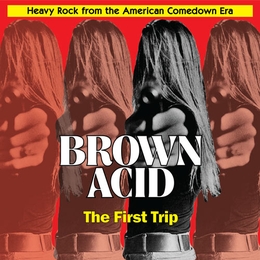 Image du média "BROWN ACID : THE FIRST TRIP"