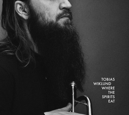 Image du média "WHERE THE SPIRITS EAT de Tobias WIKLUND"