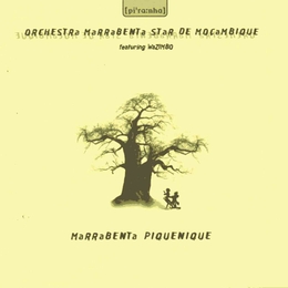 Image du média "MARRABENTA PIQUENIQUE de ORCH. MARRABENTA STAR DE MOÇAMBIQUE"