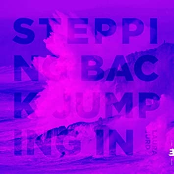 Couverture STEPPING BACK, JUMPING IN de Laura JURD