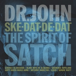 Image du média "SKE-DAT-DE-DAT (THE SPIRIT OF SATCH) de DR JOHN"