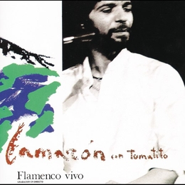 Image du média "FLAMENCO VIVO de CAMARON DE LA ISLA"