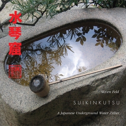 Image du média "SUIKINKUTSU (UNDERGROUND WATER ZITHER) de Steven FELD"