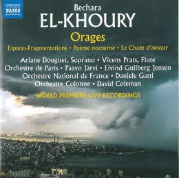 Image du média "ORAGES de Bechara EL-KHOURY"