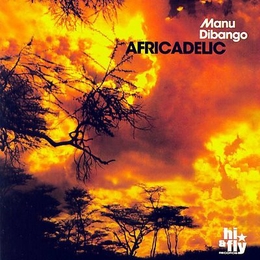 Image du média "AFRICADELIC de Manu DIBANGO"