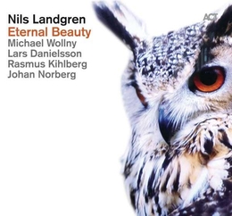 Image du média "ETERNAL BEAUTY de Nils LANDGREN"