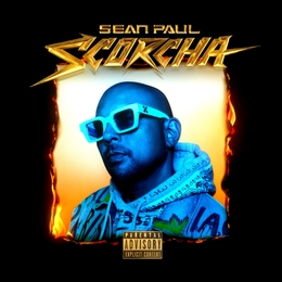 Image du média "SCORCHA de Sean PAUL"