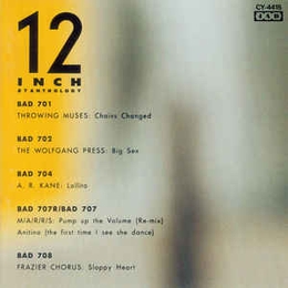 Image du média "12INCH 87 ANTHOLOGY"