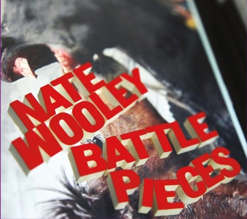 Couverture BATTLE PIECES de Nate WOOLEY