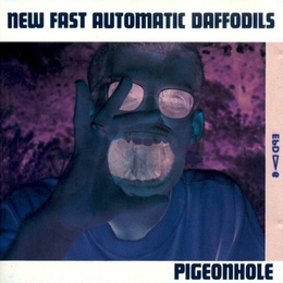 Image du média "PIGEONHOLE de NEW FAST AUTOMATIC DAFFODILS"