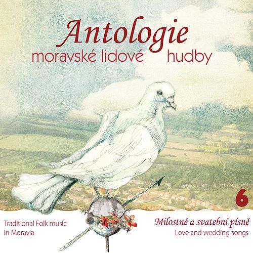 Couverture TRADITIONAL FOLK MUSIC IN MORAVIA 6: LOVE AND WEDDING SONGS