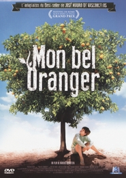 Image du média "MON BEL ORANGER de Marcos BERNSTEIN"