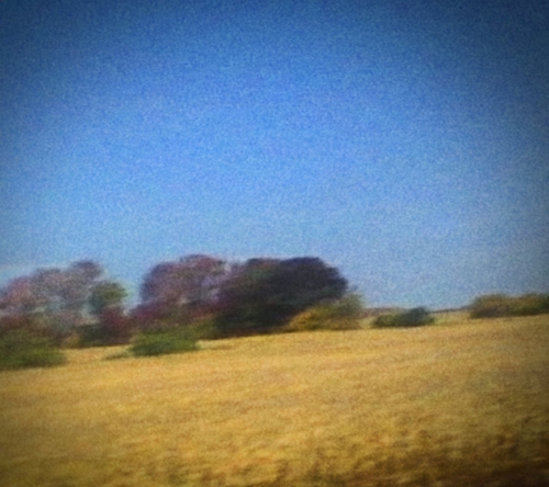 Couverture BENJI (LIMITED EDITION) de SUN KIL MOON