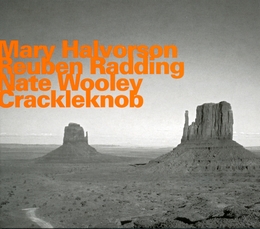 Image du média "CRACKLEKNOB de Mary HALVORSON/RADDING/WOOLEY"