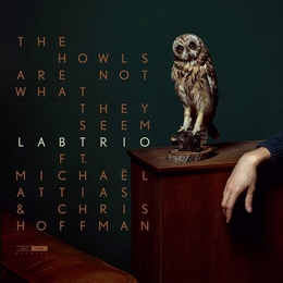 Image du média "THE HOWLS ARE NOT WHAT THEY SEEM de LAB TRIO"