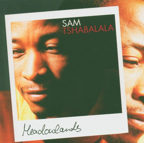 Couverture MEADOWLANDS de Sam TSHABALALA