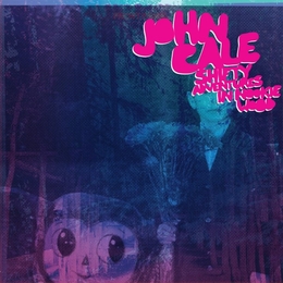 Image du média "SHIFTY ADVENTURES IN NOOKIE WOOD de John CALE"