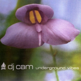 Image du média "UNDERGROUND VIBES de DJ CAM"