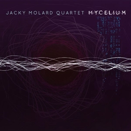 Image du média "MYCELIUM de Jacky MOLARD QUARTET"