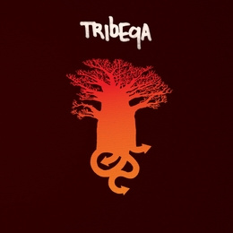 Image du média "TRIBEQA de TRIBEQA"