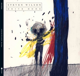 Image du média "DRIVE HOME de Steven WILSON"