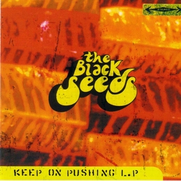 Image du média "KEEP ON PUSHING de THE BLACK SEEDS"