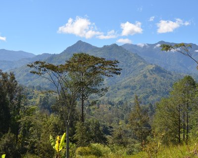 Les Highlands de la Papouasie-Nouvelle-Guinée, une photo de eGuide Travel (wikicommons)