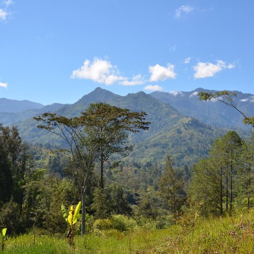 Les Highlands de la Papouasie-Nouvelle-Guinée, une photo de eGuide Travel (wikicommons)