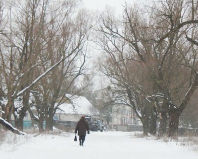 Après nous ne restera que la terre brûlée - Delphine Fédoroff