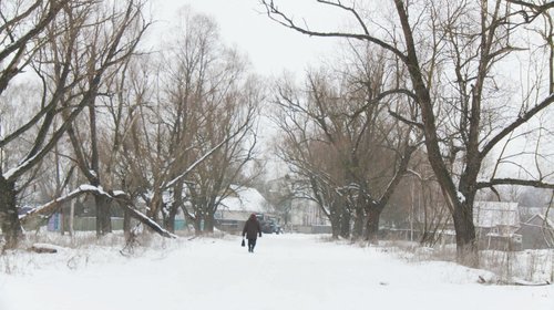 Après nous ne restera que la terre brûlée - Delphine Fédoroff