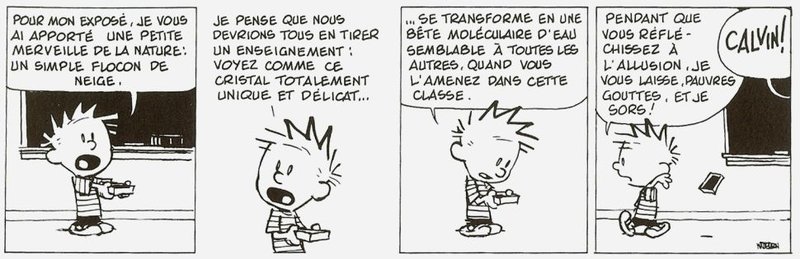 Calvin et Hobbes 3