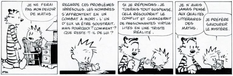 Calvin et Hobbes 5