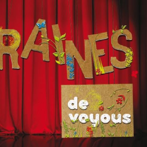 Graines de voyous