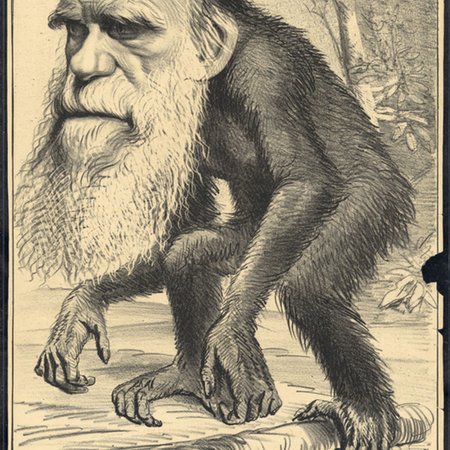 darwin