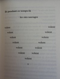 Violaine-Schwartz-Et-pendant-ce-temps-là-les-oies-sauvages-volent.jpg