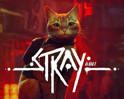 Let's Play du mardi - Stray.jpg