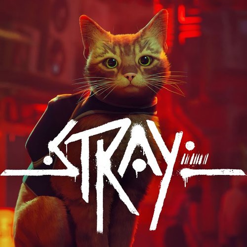 Let's Play du mardi - Stray.jpg